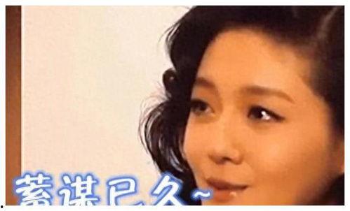 福州娱乐圈爆料事件真相,一场风波背后的真相与反思