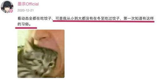 真情实感吃瓜视频下载免费,免费下载吃瓜视频，畅享娱乐盛宴